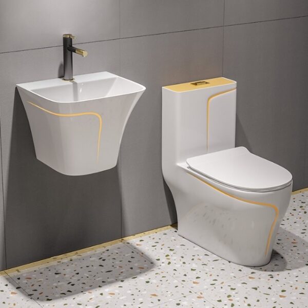 European Toilet Basin and Seats